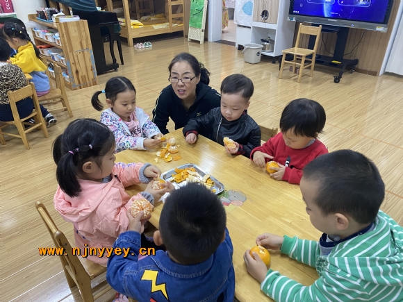 附件：IMG_6807.JPG