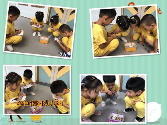 附件：a1.jpg