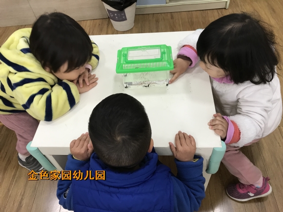 附件：IMG_6426.JPG