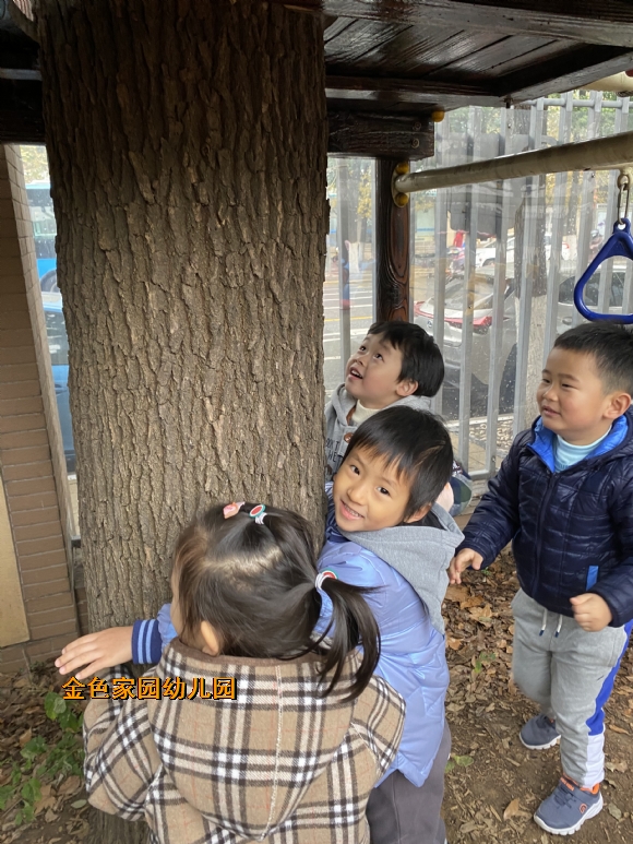 附件：IMG_4978.JPG
