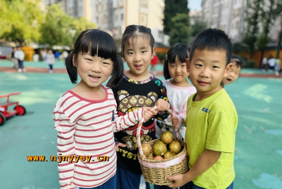 附件：IMG_0194.JPG