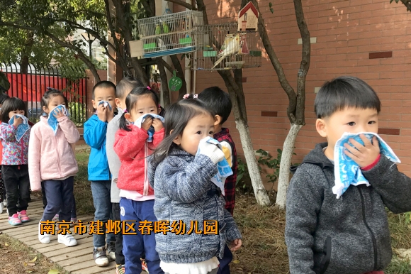 附件：IMG_9385.jpg