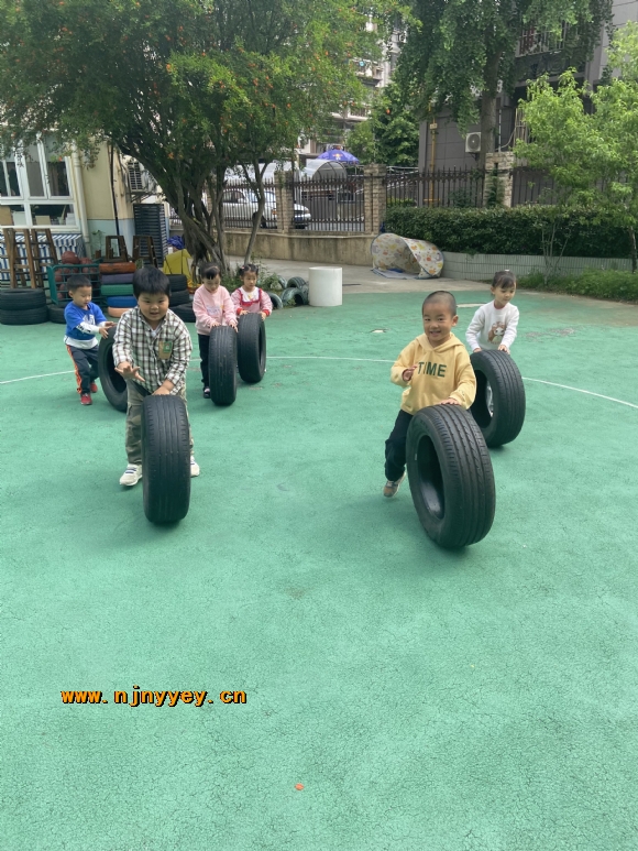 附件：IMG_5720(20230526-161213).JPG
