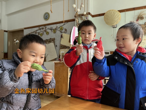 附件：IMG_6715.JPG