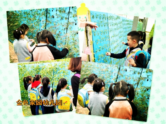 附件：49872648308666859_鍓湰.jpg