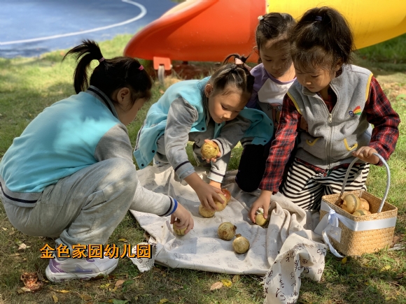 附件：1697605889668.jpg
