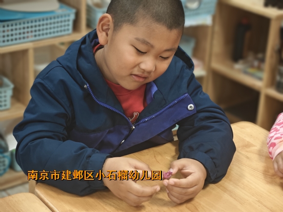 附件：IMG_20240408_095746.jpg