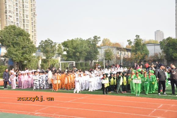 附件：DSC_3365.jpg
