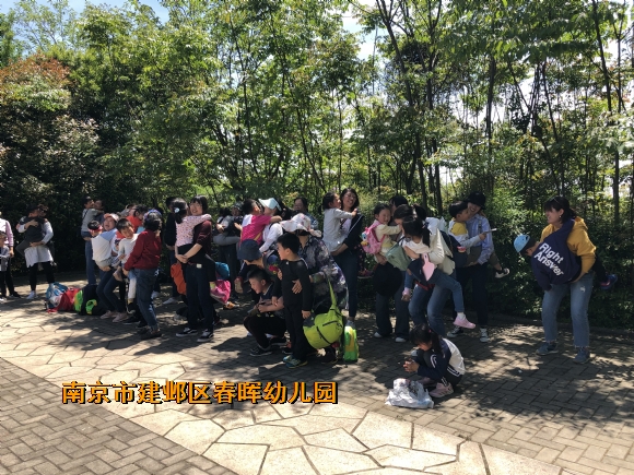 附件：IMG_4132.JPG
