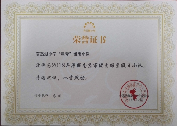 附件：201812 2018年暑期南京市优秀雏鹰假日小队.jpg