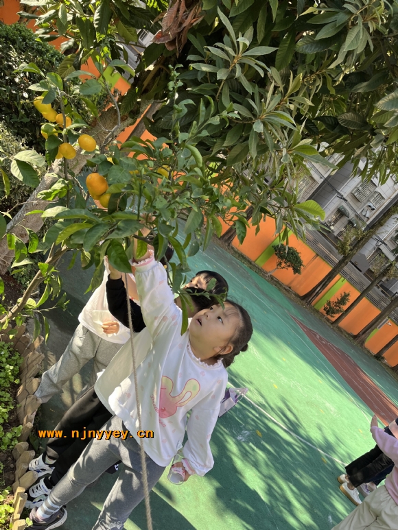 附件：51d5b0092e2bc60b908e75c686137d55.jpg