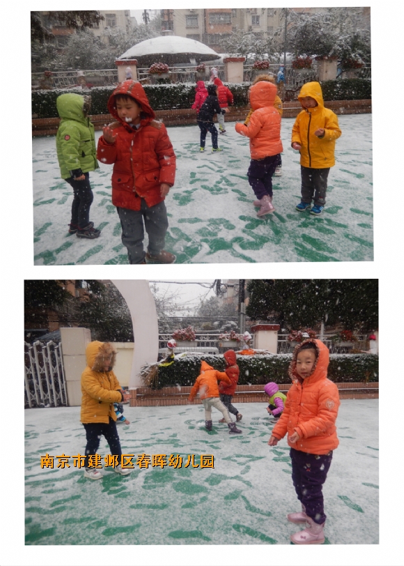 附件：IMG_2125.JPG