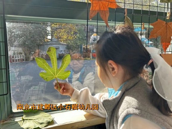 附件：1.jpg