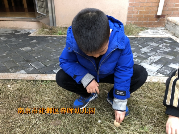附件：IMG_0662.JPG