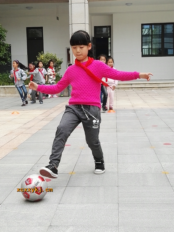 附件：IMG_20170420_143957.jpg