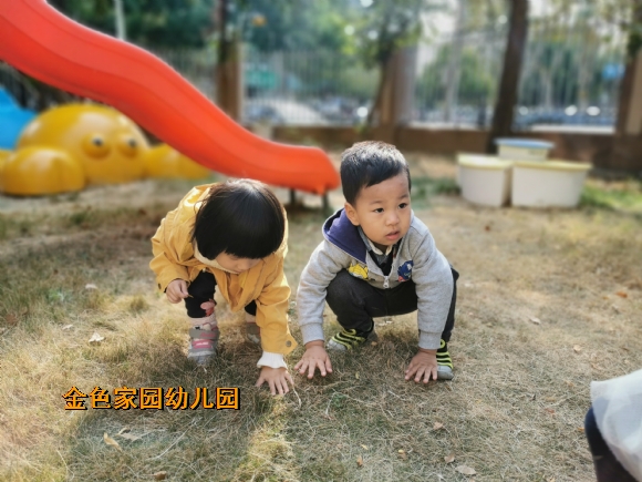 附件：IMG_20191108_100047.jpg
