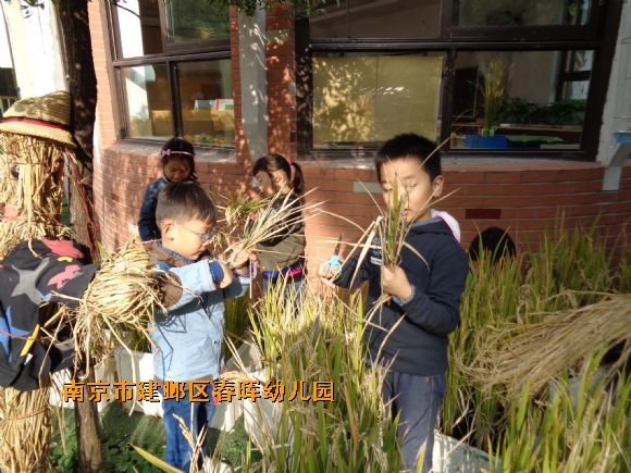 附件：DSC03059.JPG