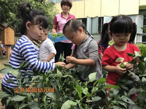 附件：IMG_1650.JPG