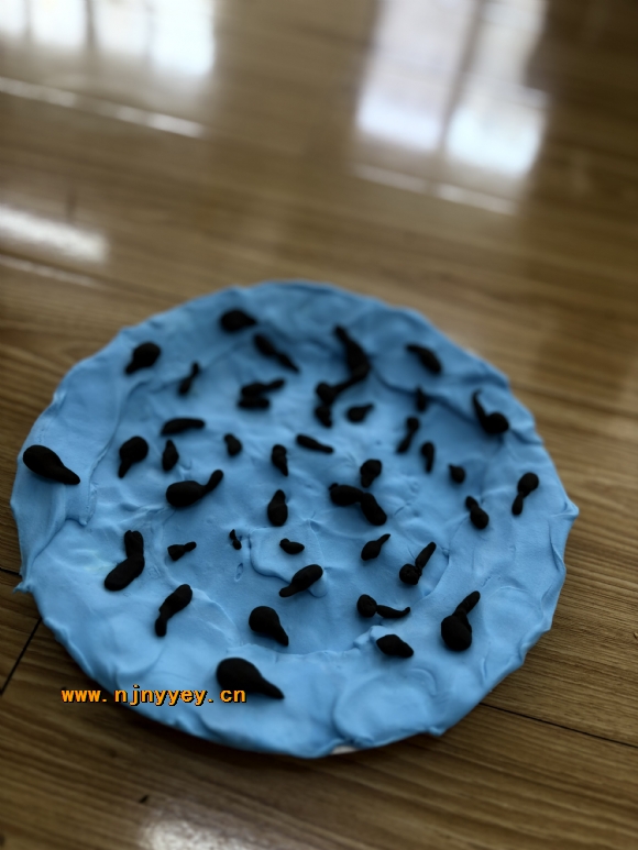 附件：IMG_7642.JPG
