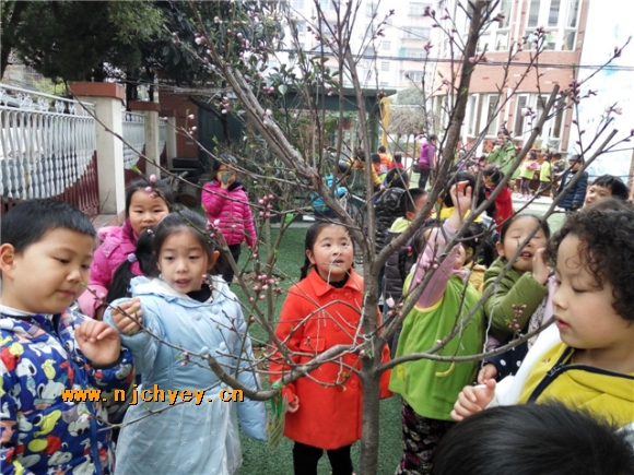 附件：QQ图片20160315134903.jpg