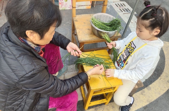 附件：和奶奶一起择菜.jpg
