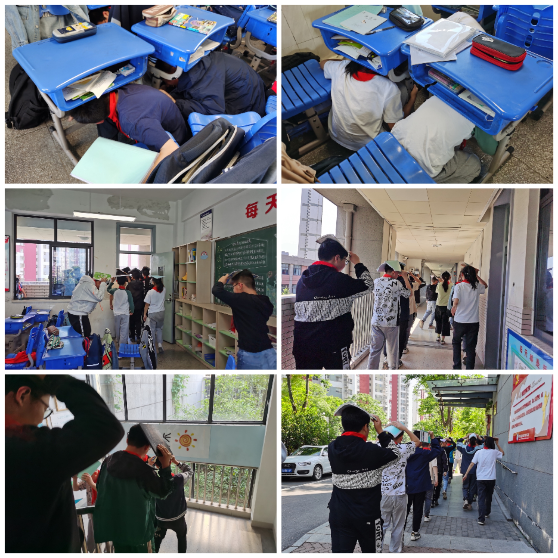Collage_20230511_145558.jpg