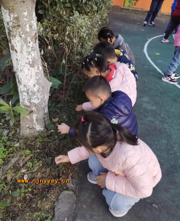 附件：Screenshot_20211229_094428.jpg.jpg