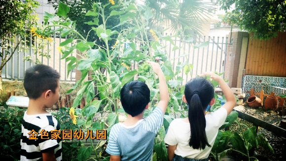 附件：IMG_0942.jpg