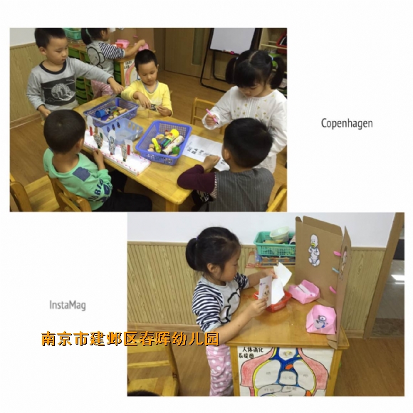 附件：IMG_5271.JPG