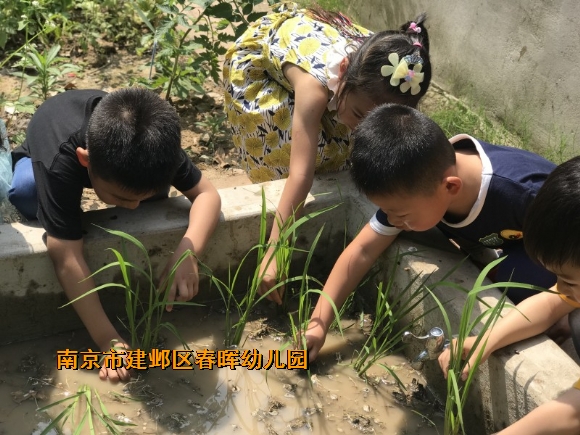 附件：conew_fullsizerender(407).jpg