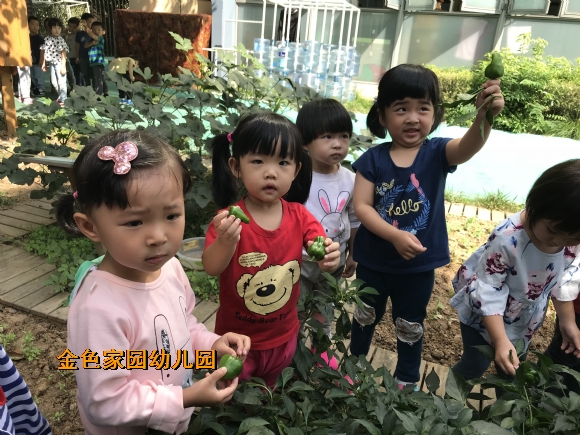 附件：IMG_1596.JPG