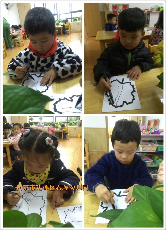 附件：IMG_5053.JPG
