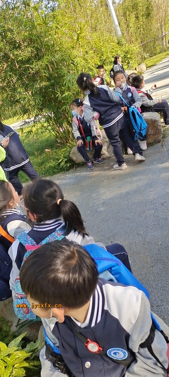 附件：wx_camera_1605157773824.jpg