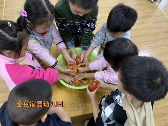附件：IMG_9544.JPG