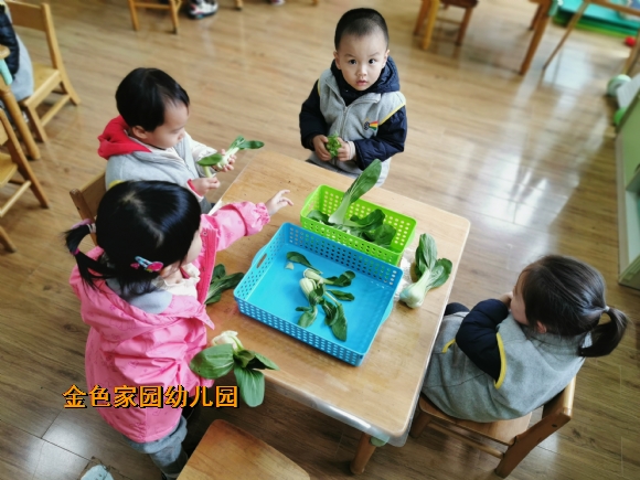 附件：IMG_20191118_093045.jpg