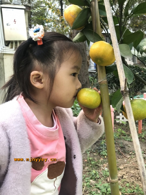 附件：2.jpg