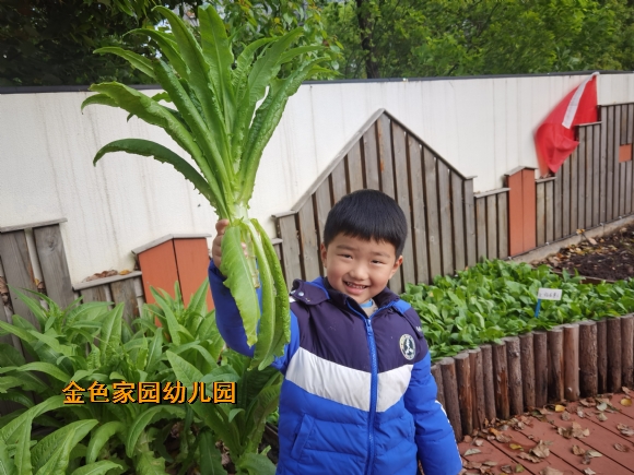 附件：IMG_20230407_152811.jpg