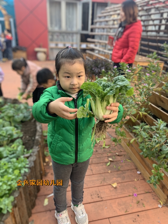 附件：IMG_0170.JPG
