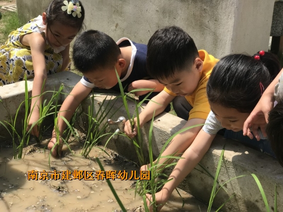 附件：conew_img_6299.jpg