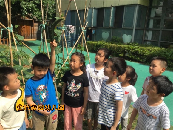 附件：新建文件夹IMG_3695.jpg