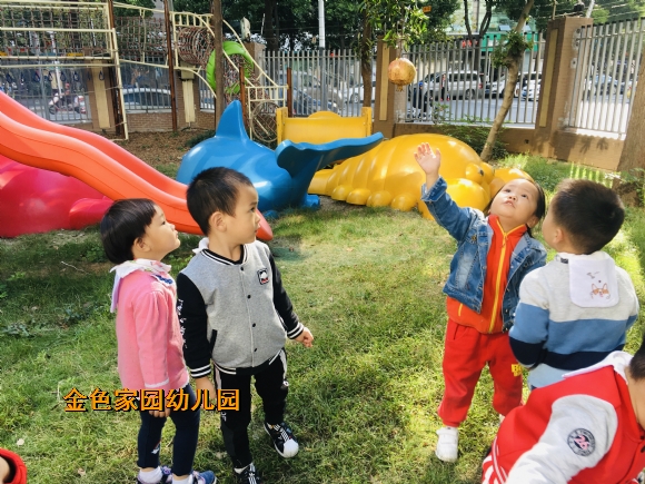 附件：IMG_E8815.JPG