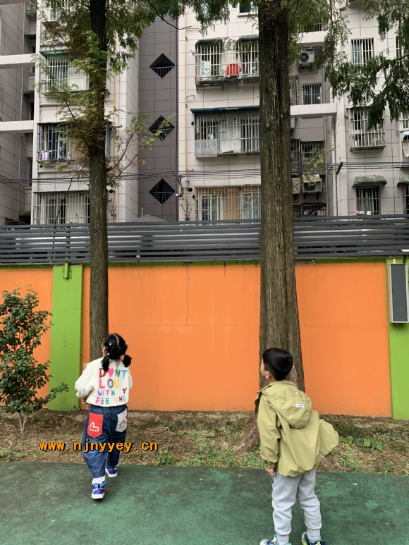附件：IMG_6300.JPG