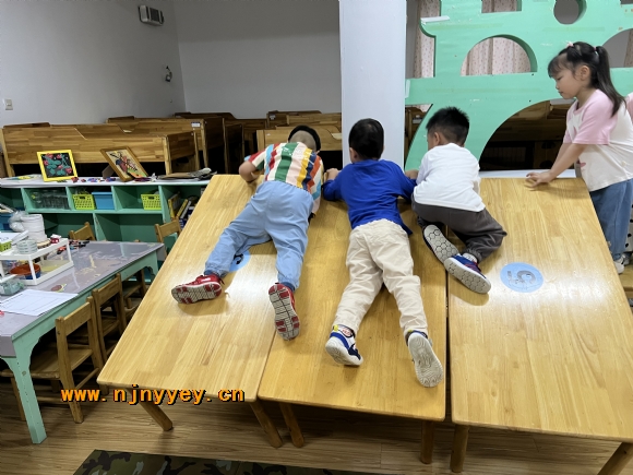 附件：IMG_5024.jpg