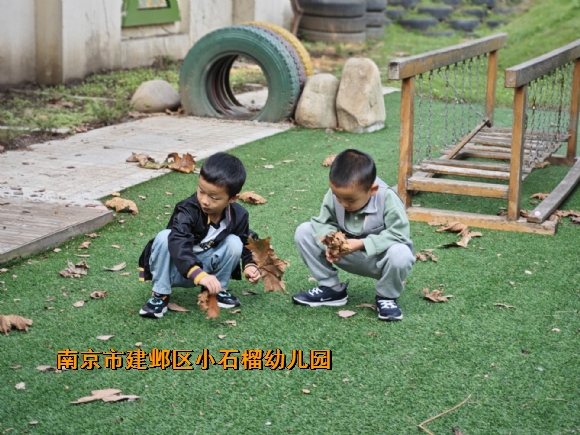 附件：QQ图片20241010095252.jpg