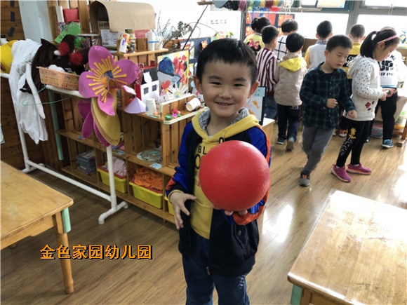 附件：IMG_2875.jpg
