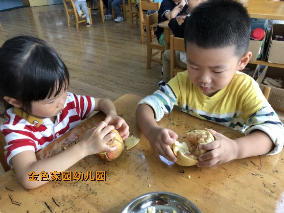 附件：IMG_1346.JPG