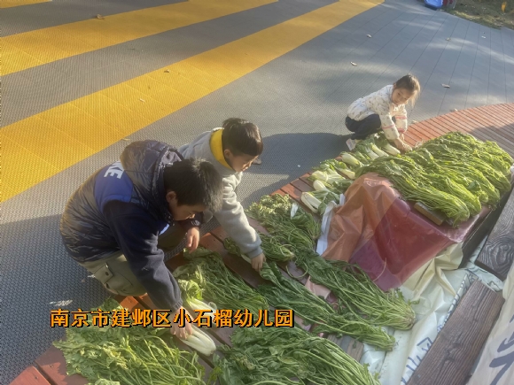 附件:2A8993D5-AE2E-48A5-9333-CBCC2091C8CB_hd.jpg 附件:2A8993D5-AE2E-48A5-9333-CBCC2091C8CB_hd.jpg