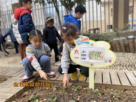 附件：IMG_6885.jpg