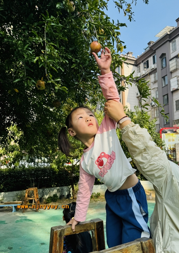 附件：IMG_0734(20231028-101136).JPG