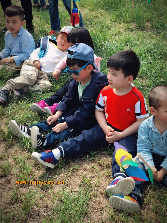 附件：IMG_4529.JPG